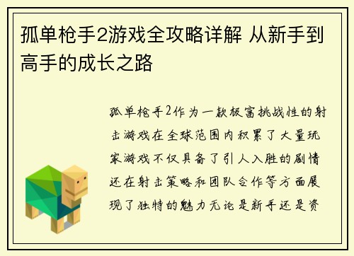 孤单枪手2游戏全攻略详解 从新手到高手的成长之路